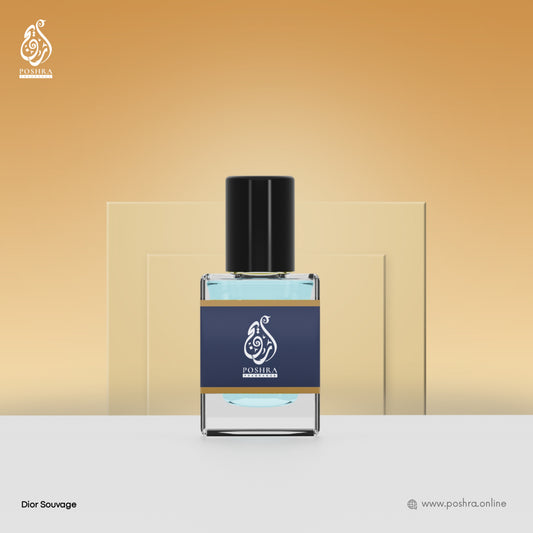 𝗗𝗜𝗢𝗥 𝗦𝗔𝗨𝗩𝗔𝗚𝗘