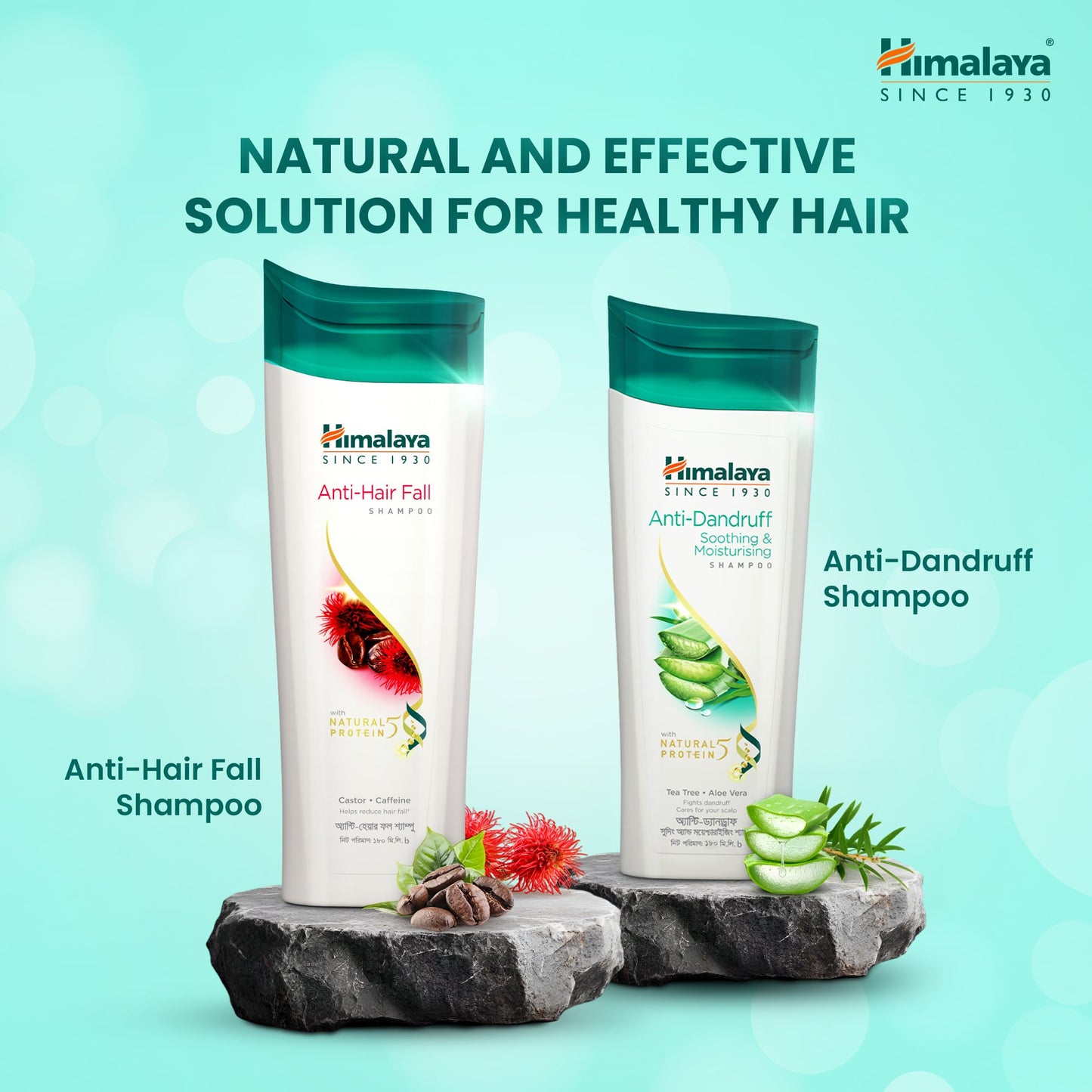 Himalaya Herbals Anti Hair Fall Castor & Caffeine Shampoo 375 ML